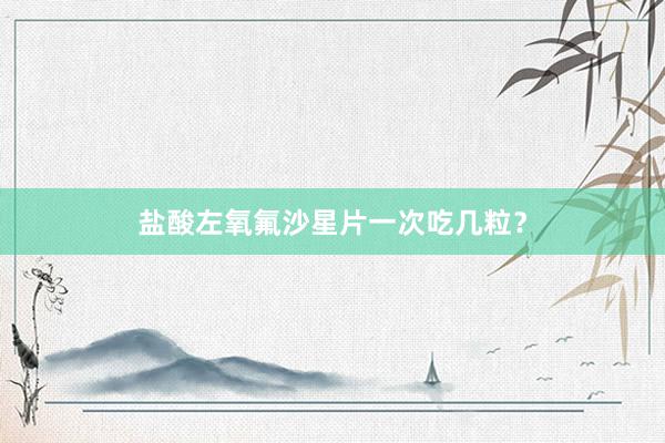 盐酸左氧氟沙星片一次吃几粒？